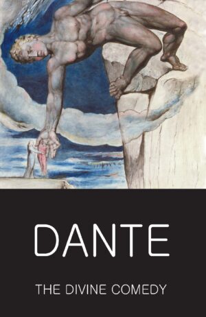The Divine comedy