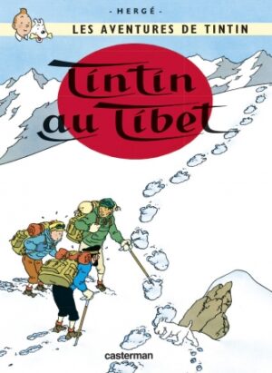 Tintin au Tibet T20 - petit format