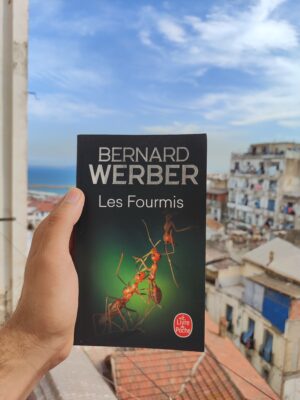 Les fourmis - occasion