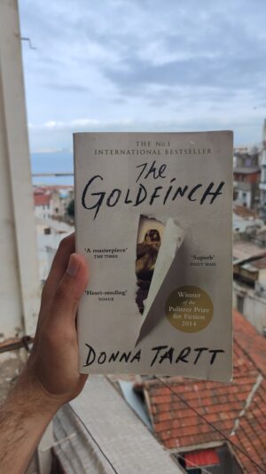 The goldfinch - occasion