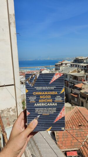 Americanah - occasion